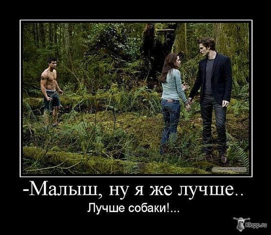 http://cs10174.vkontakte.ru/u433370/112780497/x_30ec443d.jpg